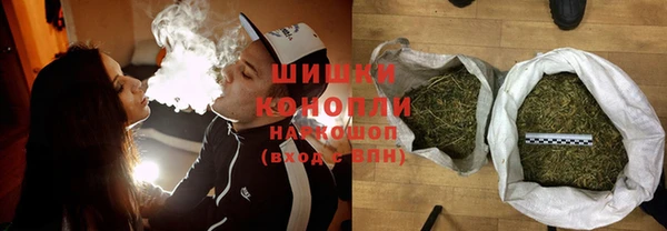 сатива Нягань