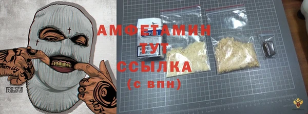 сатива Нягань