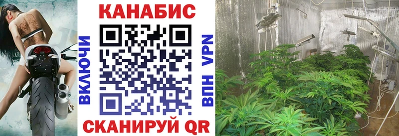 Купить где  Духовщина  Марихуана ГИДРОПОН 